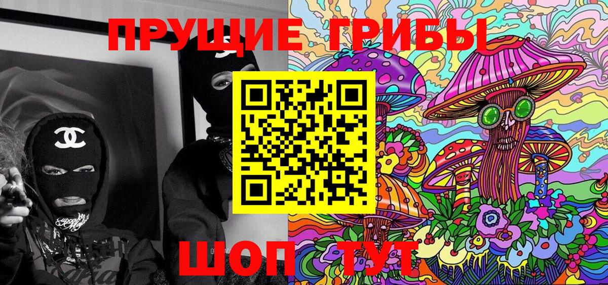 Галлюциногенные грибы GOLDEN TEACHER Киселёвск